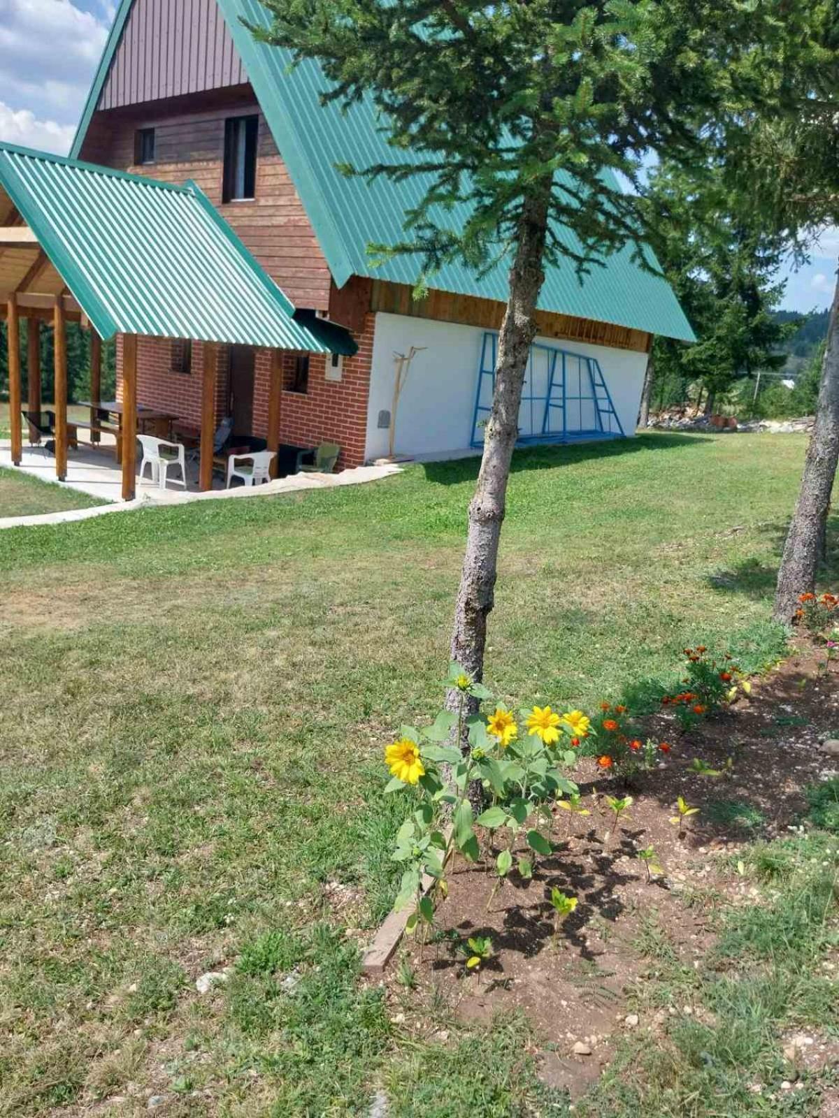 House In Forest 자블야크 외부 사진
