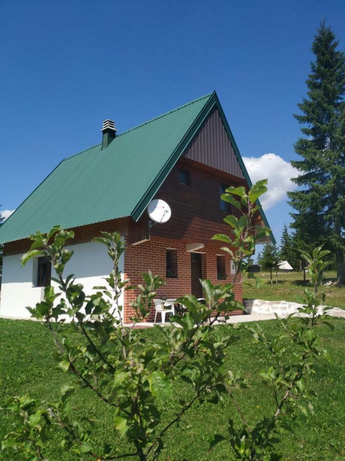 House In Forest 자블야크 외부 사진